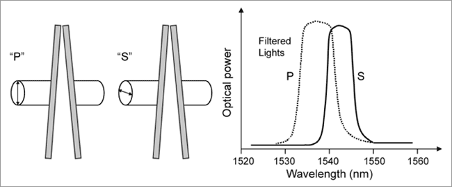 Differences in spectral linewidth and attenuation between “P” and “S” polarized lights.