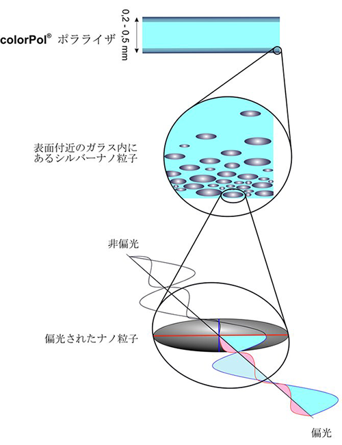 colorPol® polarizersの原理