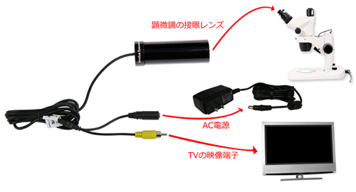 パソコンは不要、TVと顕微鏡があれば使用可能です！