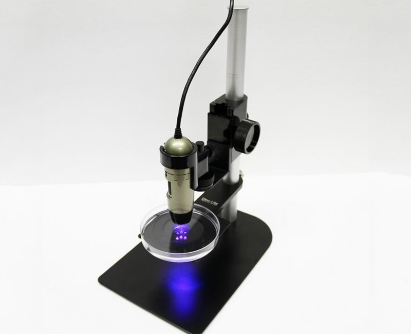 Dino-Lite Edge M Fluorescence (蛍光) TGFBW　デジタルマイクロスコープ（DINOAM4115TGFBW）