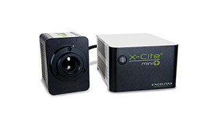 x-cite-mini-compact_s