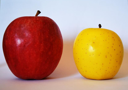 ２つのリンゴの可視光の画像