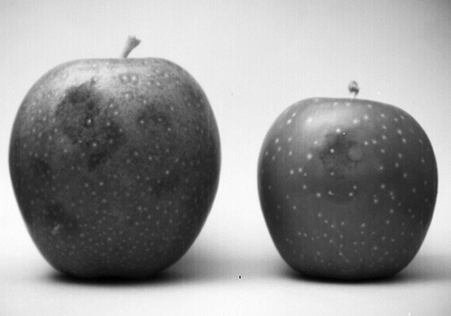 ２つのリンゴのSWIR (900-1700nm) の画像