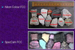 分析への応用例