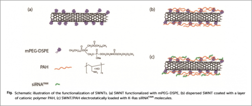 Cancer Gene Therapy