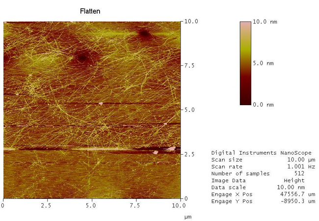 SEM and AFM